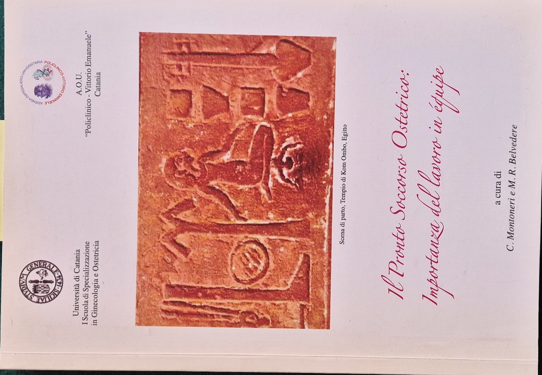 Il pronto soccorso ostetrico: importanza del lavoro in equipe