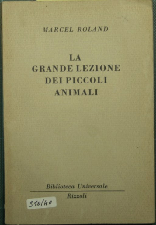 La grande lezione dei piccoli animali