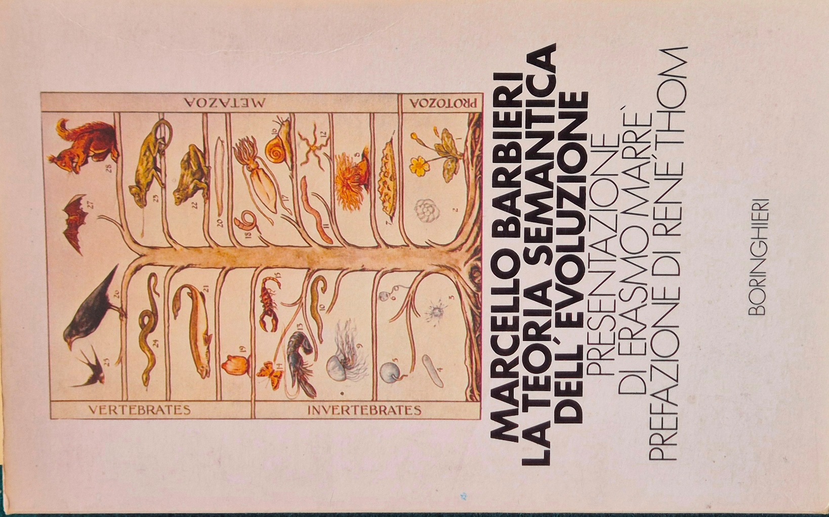 La teoria semantica dell'evoluzione