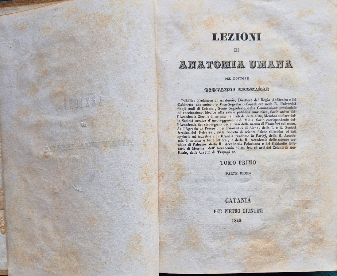 Lezioni di anatomia umana