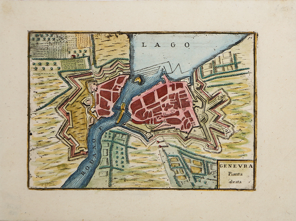 Ginevra Pianta alzata