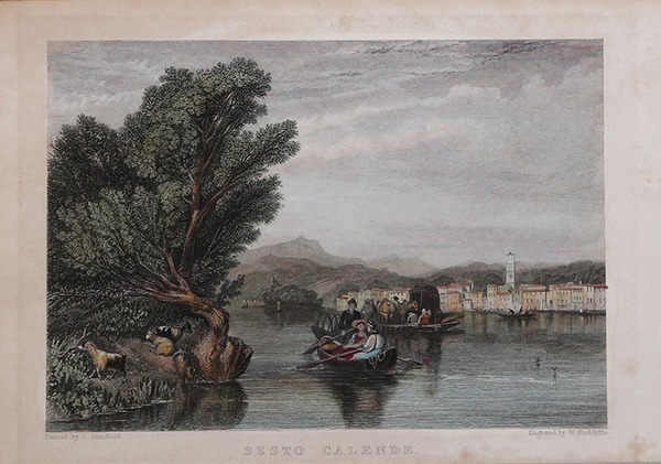 Ovis Peruana. / Aries Guineersis. / Zaino Tajacu Porcus Sylvester. …