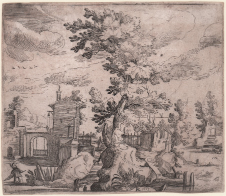 Paesaggio con grande albero