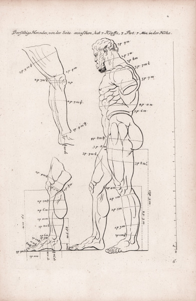 Der Selbige Hercules, von der Seite.