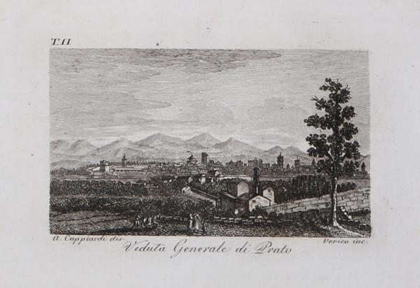 Veduta Generale di Prato