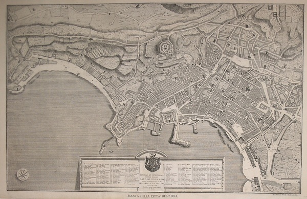 Pianta della Città di Napoli