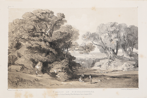 Forest of Pietrapennata