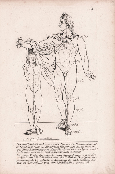 Der Apoll im Vatikan.