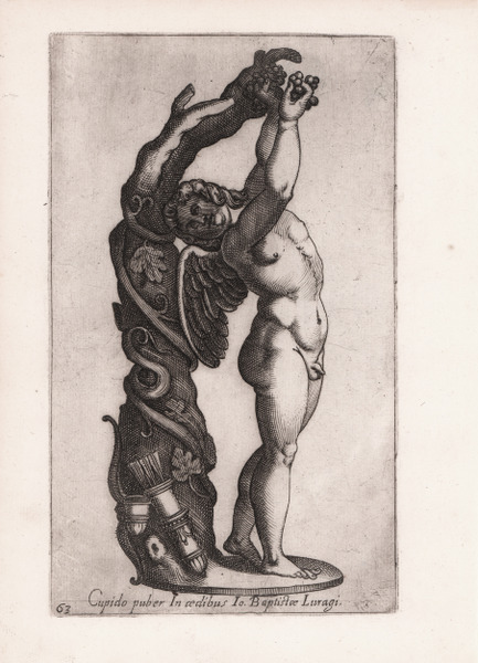 Cupido puber In aedibus Io. Baptistae Luragi