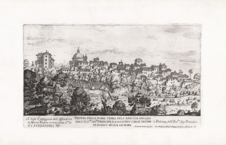 Veduta della nobil terra dell'Ariccia ducato dell'Ecc.mo Sig.re prencepe d. …
