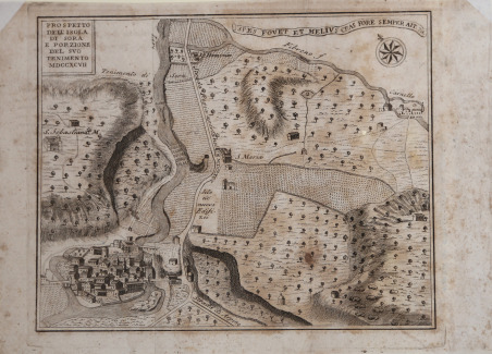 Prospetto dell'Isola di Sora e Proiezione del suo Tenimento MDCCXCVII
