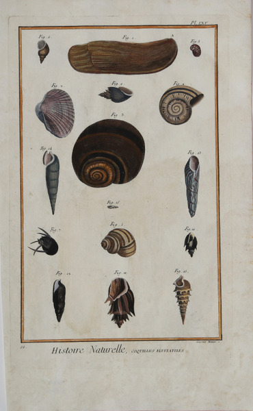 Collegio Pontificio Ecclesiastico degli Stati Uniti dell'America Meridionale