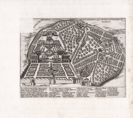 Descriptio Accuratiss. Horti Amaeniss. qui Vulgo Dicitur Barco di Bagnaia