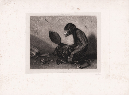 Le singe et le miroir
