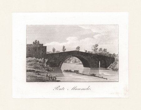 Ponte Mammolo