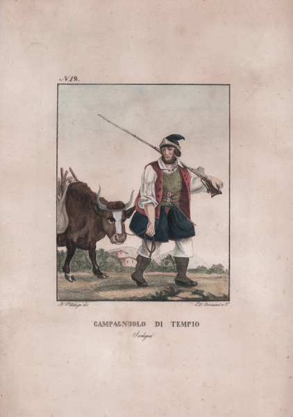 Campagnuolo di Tempio - Sardegna