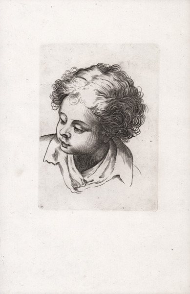 Testa di una ragazza con i capelli legati da un …