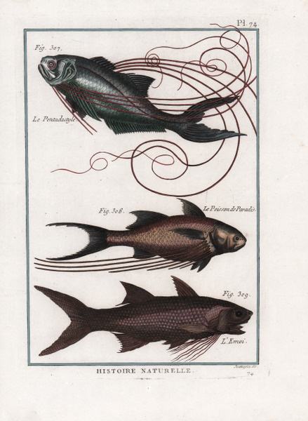 Le Pentadactyle. Le Poisson de Paradis. L'Emoi.