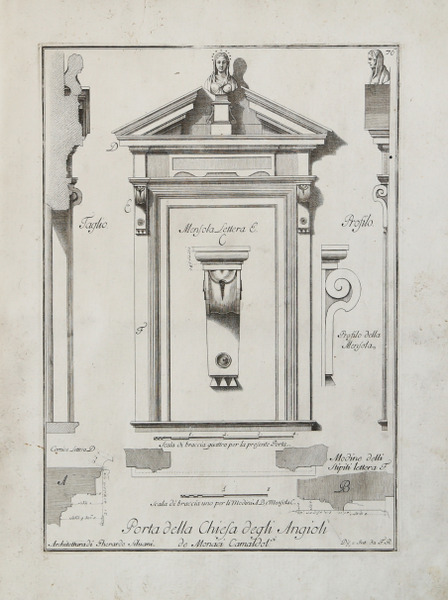 Aconito pardialanche (Aconito napello)