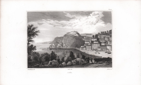 Scilla