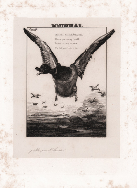 Le Canard (Le Journal)