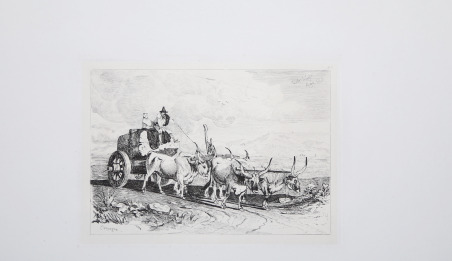 Carro trainato dai buoi