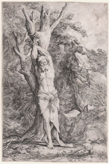 Albert legato ad un albero