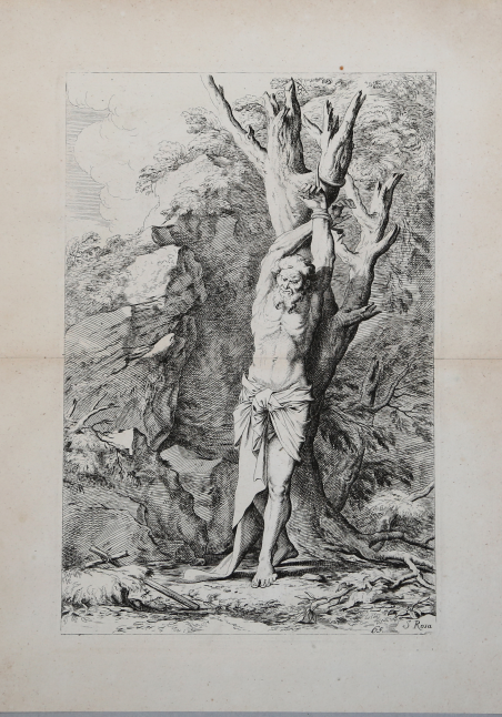 Albert legato ad un albero