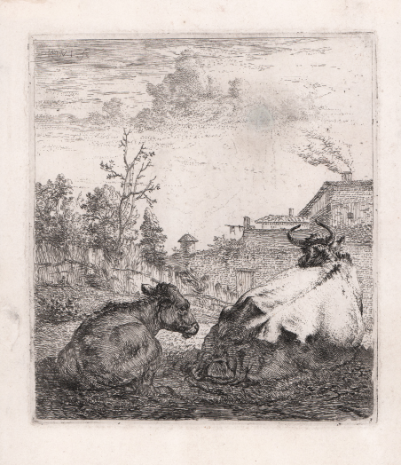 Il vitello e la mucca