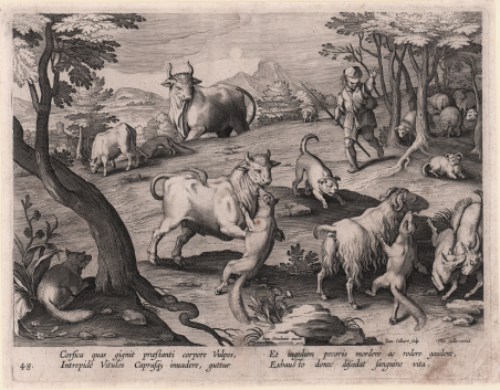 L'attacco delle volpi