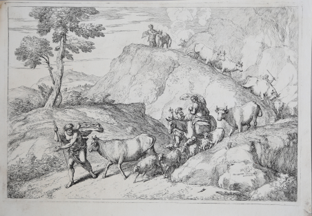 La mandria in cammino seguita dalla famiglia del pastore