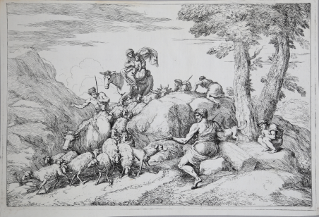 La mandria in discesa da un pendio