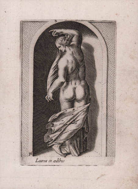 Laurea in aedibus [Menade]