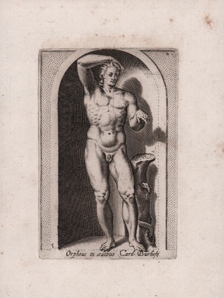 Orpheus in aedibus Card Burghesij [Apollo Liceo]