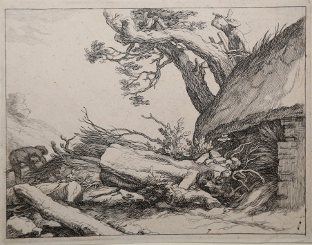 Paesaggio con tronchi