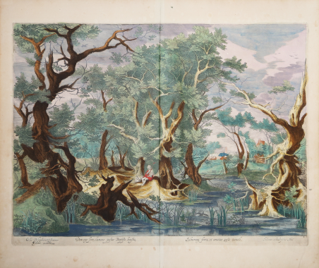 Paesaggio silvestre con San Giovanni Battista