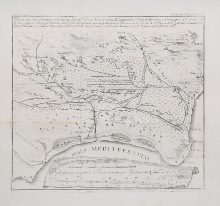 Pianta delle Paludi Pontine