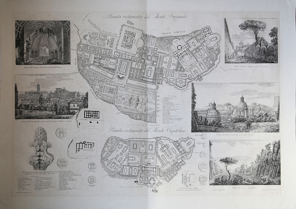 Pianta Restaurata del Monte Quirinale/ Pianta Restaurata del Monte Capitolino