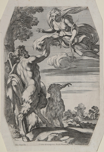 Il Dio Pan presenta una massa di bianca lana a …