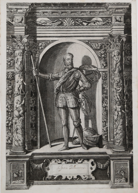 Sfortia Pallavicinus