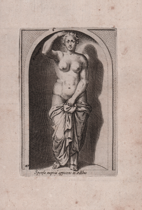 Sponsa nuptia appetens in aedibus