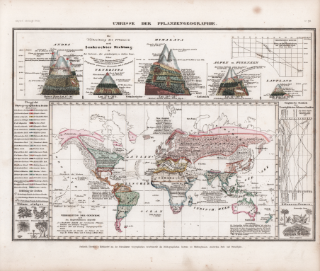 Umrisse der Pflanzengeographie