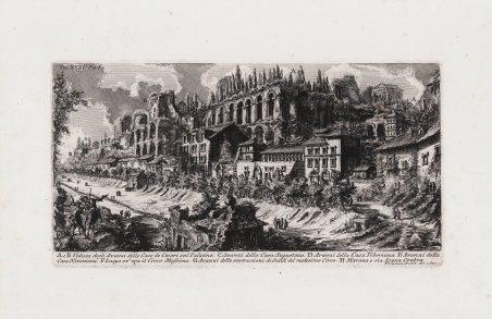Veduta degli Avanzi delle Case de Cesari sul Palatino…