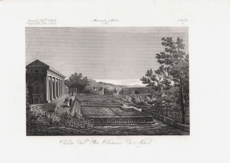 Veduta dell'Orto Botanico di Napoli