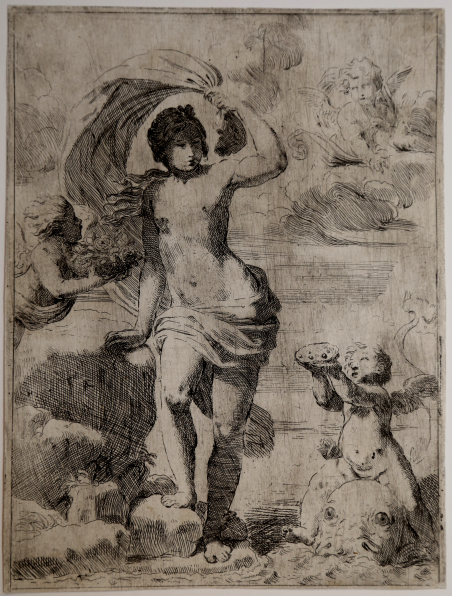 Venere sorge dal mare