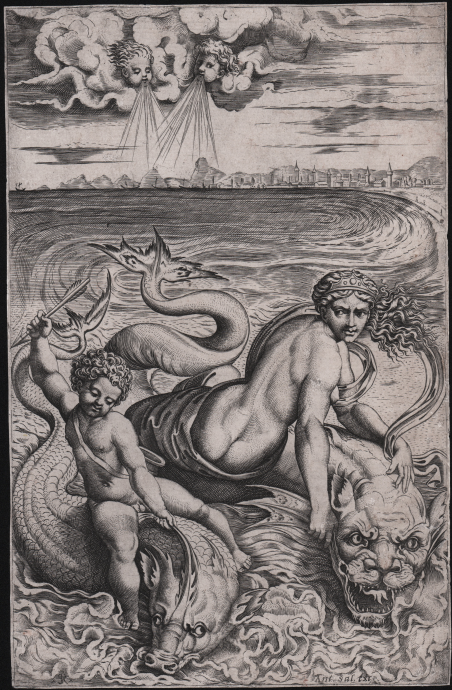 Venere sul delfino