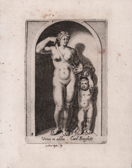 Venus in aedibus Card. Burghesij
