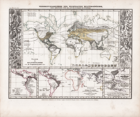 Verbreitungsbezirke der witchtigsten Kulturgewachse
