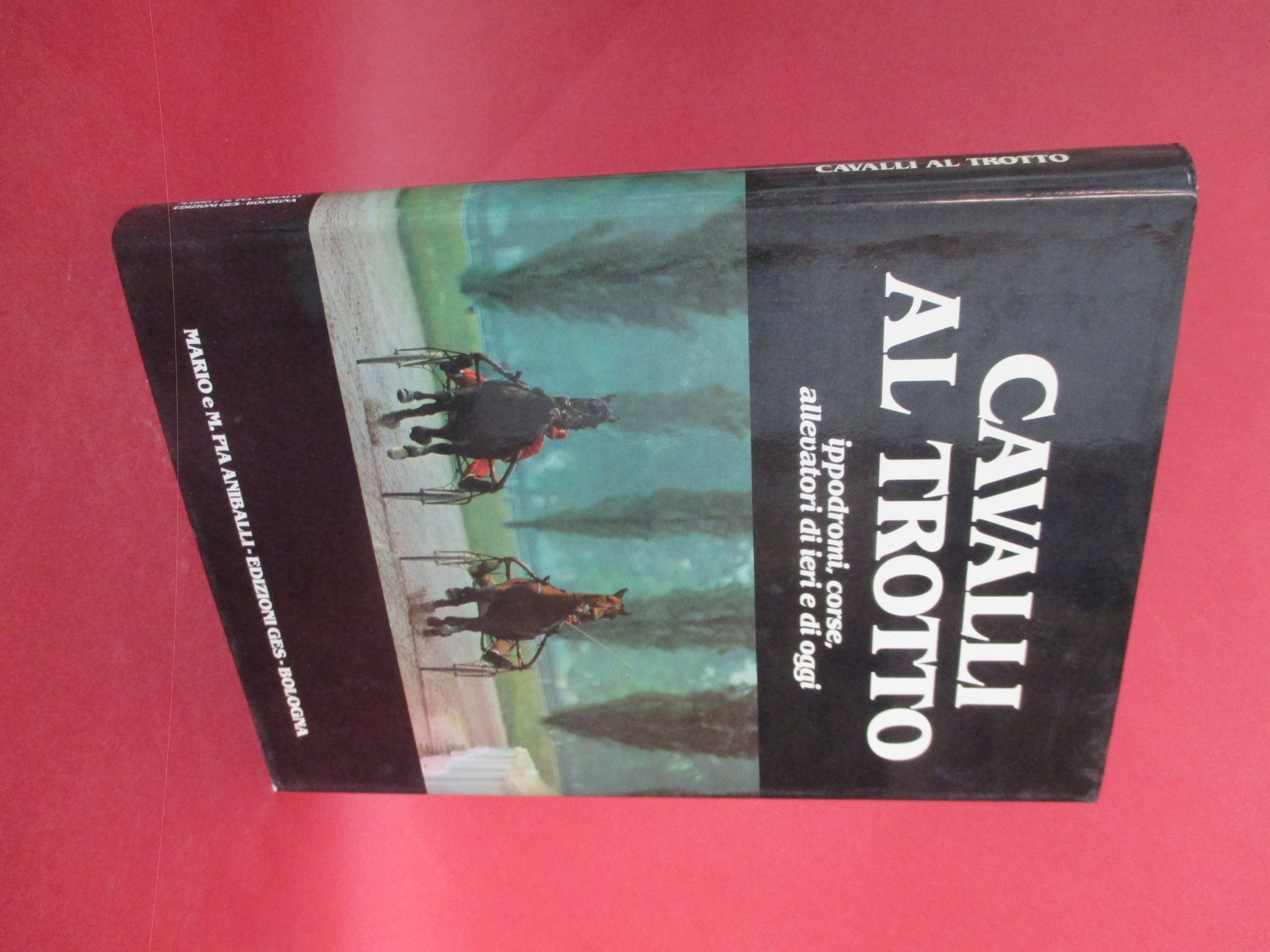 Cavalli al trotto.