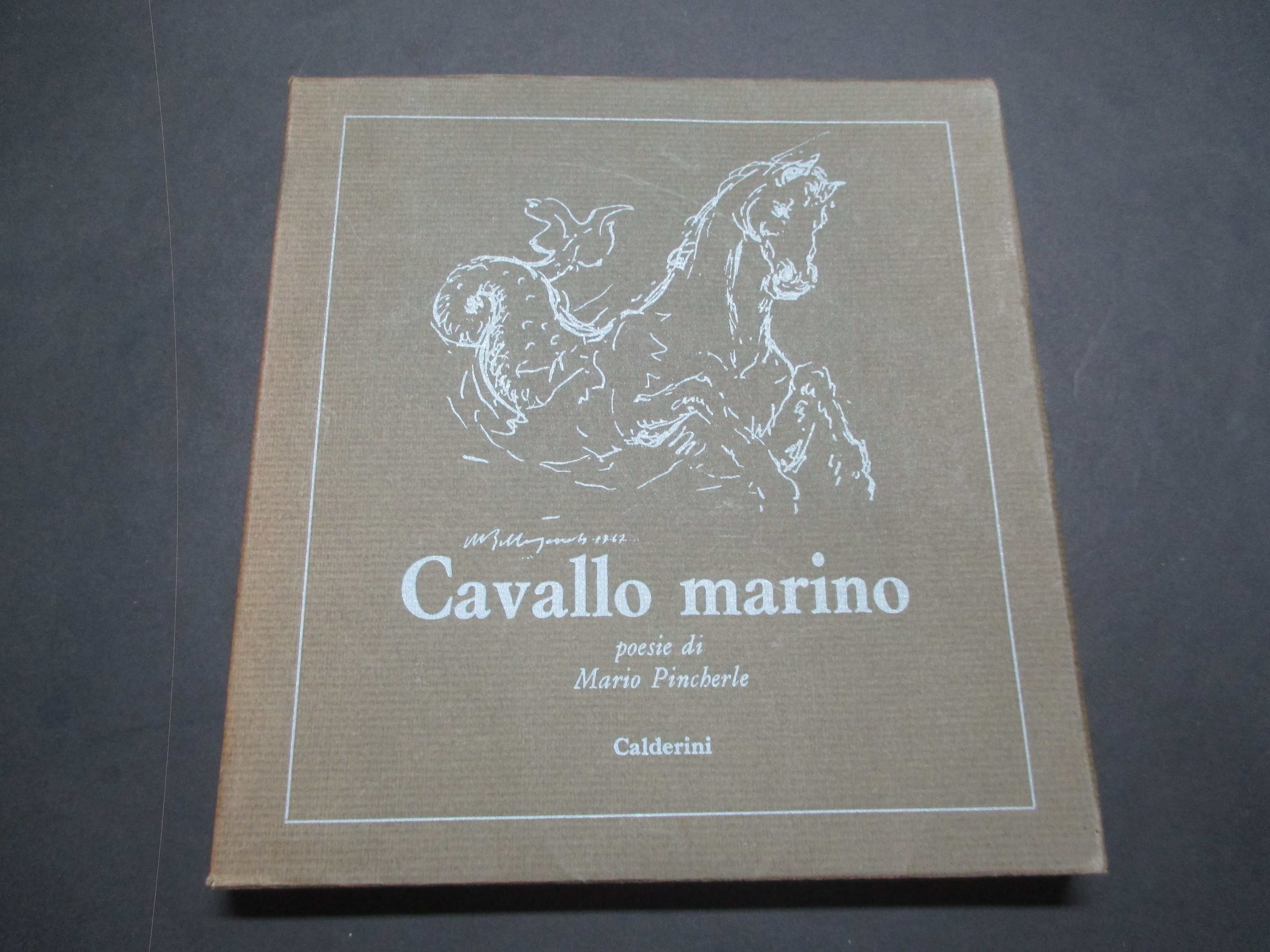 Cavallo marino. Poesie. Acquaforti e disegni di Mario Bellagamba.